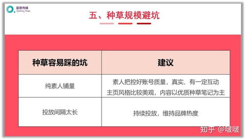 鲜为人知的私服外挂类型，热门需求匹配+防封避坑实战指南（2026玩家必看）