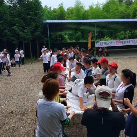 冒险岛2资格类型深度解析，匹配热门需求，手把手教你精准获取&最大化福利