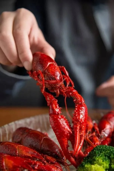 业内人士：普通人没必要急着装龙虾 不懂别焦虑