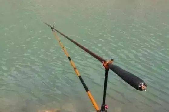 2026年钓鱼3大主流玩法拆解，野钓找窝/黑坑抢鱼/路亚精准获鱼指南