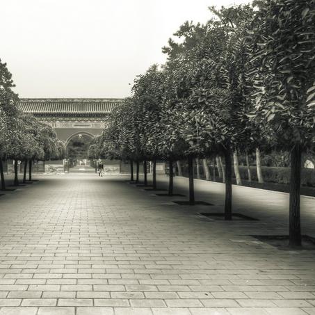 极限竞速，地平线6实机道路太空旷引担忧，官方回应，正式版车辆不会少