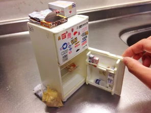 女子怕被偷将十几万黄金藏冰箱 这下全国都知道了