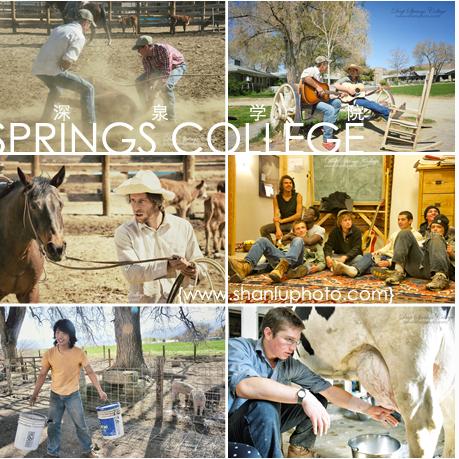 我在《红色沙漠》学"养猪种地"!游戏新实机公开