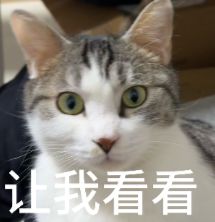 龙虾最佳适配模型出炉 OpenClaw之父给出推荐：两款都来自中国