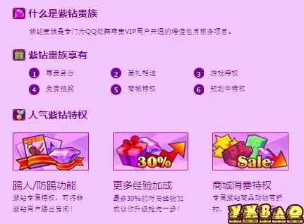 QQ音速紫钻贵族哪款最值？全类型拆解+2026玩家需求匹配指南