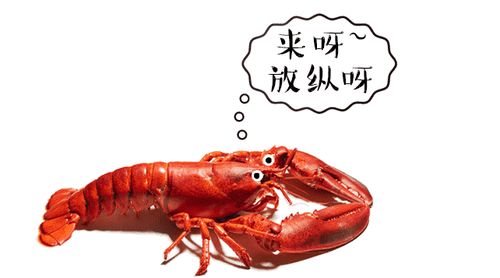 零基础“养龙虾”要花多少钱？有人因OpenClaw失控花费上万元