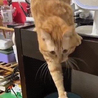 162cm学弟挑战160斤学姐 早期程序员鼓励师的囧图