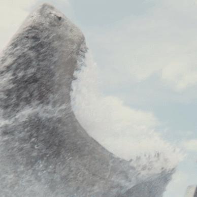 水中迅捷之鲨鱼牙值得刷吗？获取、效果实测及适配场景全解