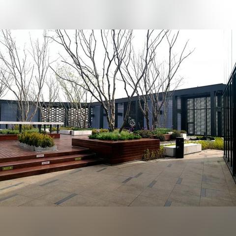 我的花园世界怎么领取真花 手游真花领取攻略