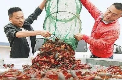 零基础“养龙虾”要花多少钱？有人因OpenClaw失控花费上万元