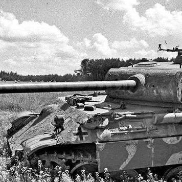 上古卷轴5技能代码全攻略，鲜为人知的类型分类+热门需求精准匹配，一键拉满战力