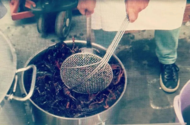 从"养龙虾"到"杀龙虾" OpenClaw大反转仅用一周