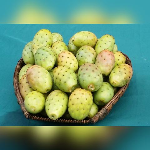 掌上英雄联盟电脑版好用吗？从查隐藏分到领皮肤的实战指南