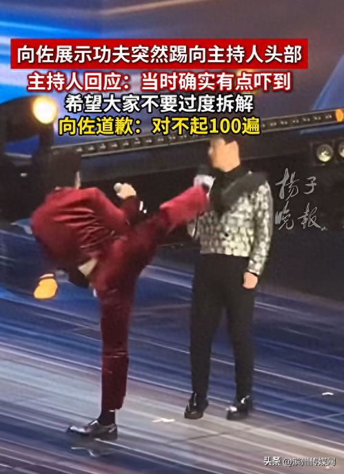 "向佐差点踢到主持人的头"热搜 向佐道歉:对不起100遍