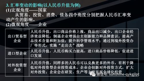 全物语类型怎么玩透？从冷门分支到热门玩法，精准匹配你的剧情与探索需求