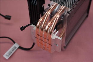 桑姬值得抽吗？2026年风系增伤辅配队/遗器/光锥全解析