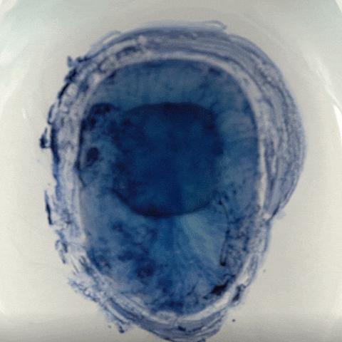 独家蓝色协议官网全指南，避坑入口、领码/下载/开服资讯+玩家服务一站式解析