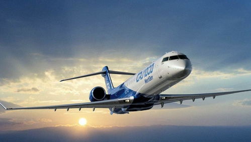 男子开700万飞机送母亲回乡：1小时车程仅飞了10分钟