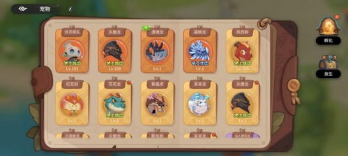 《驯龙之旅》正式开启全平台预约，一款“睡觉都在养龙”的治愈冒险RPG等你来战