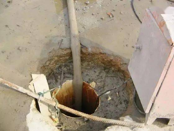 原神雷樱树怎么找？全点位分类、解谜技巧与隐藏收益一文搞懂！