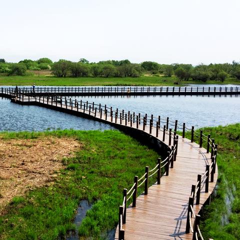 英雄岛官网怎么用才高效？回归党/萌新必藏的隐藏福利与核心功能全解析