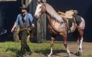 蒙古邮差题材新游开启EA：外媒盛赞马匹拟真度 堪比《荒野大镖客2》