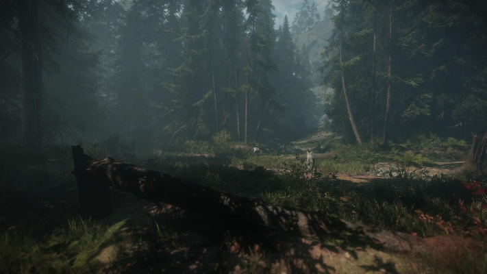 Epic喜加二：《舒适森林》和一战FPS《索查河》