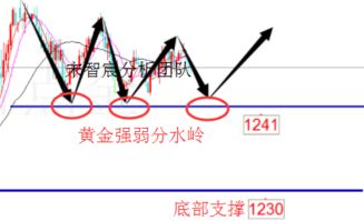 严阵以待DLC3 「临界点」现已上线