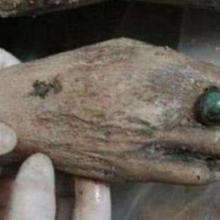 古墓探险游戏反复卡关？2026年新手必学的线索挖掘、机关破解实战指南