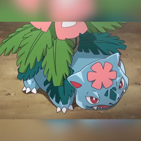 雨/冰系宝可梦怎么称霸对战？属性克制、配招联动与热门阵容全攻略