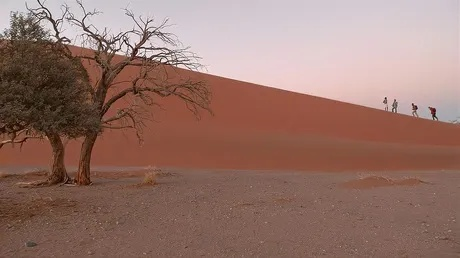 数毛社盛赞《红色沙漠》：我经历过最出色的开放世界之一