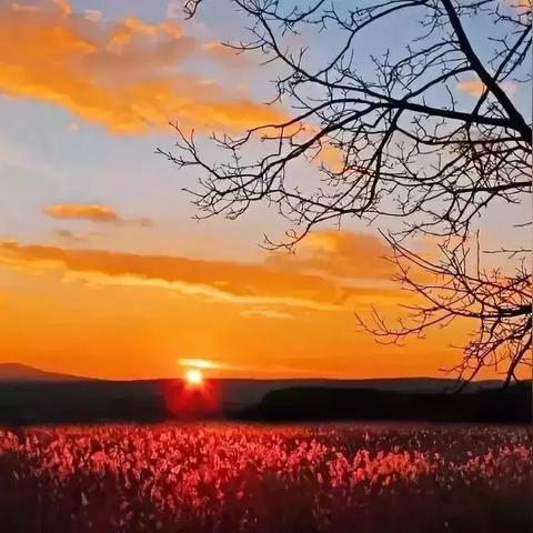 浩天奇缘2零氪玩家逆袭全攻略，职业抉择/战力飙升/秘境通关核心门道