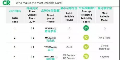 2026怎么找不跑路的靠谱SF？避坑技巧+实时开服表全解析