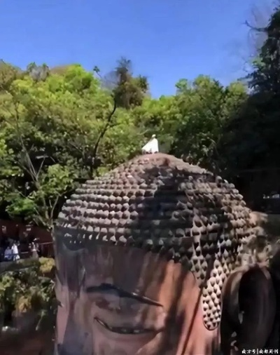 网传乐山大佛是大禹雕像 官方辟谣：图都是AI生成的