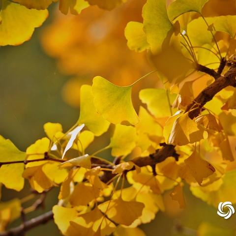 换装大战深度攻略，新手3天上钻石？平民速拿限定套装的实战技巧