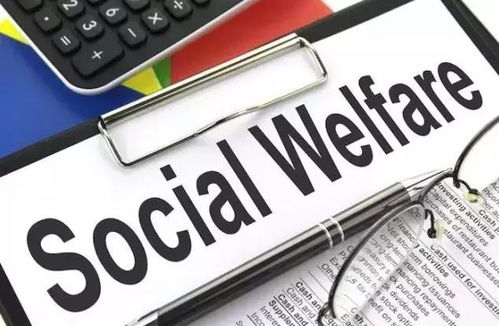 多所高校要求警惕OpenClaw安全风险 部分严禁校内使用