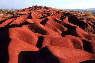 外媒：《红色沙漠》内容多到令人反胃！压力让我望而却步