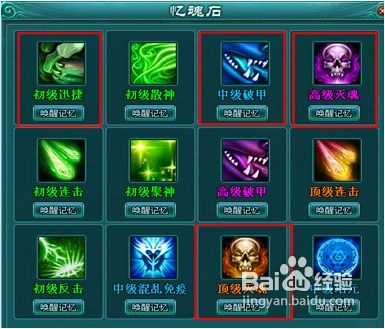 想不想修真养宠物全攻略，2026实测零氪/氪佬最优养成&实战方案