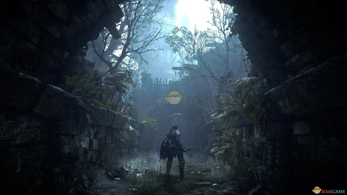 恶魔之魂贵族加点深度解析，新手开荒/速通/PVP流派全适配，附2026年实战数据