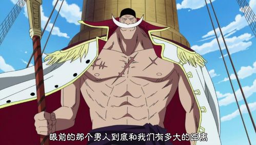 曾经《海贼王》最强的自然系果实 为何现在沦为路边一条