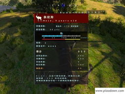 坎贝拉狩猎探险2013深度指南，新手如何快速精通猎物追踪与高分狩猎？