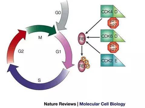 KRAFTON与韩华航空航天宣布建立“物理AI”战略联盟