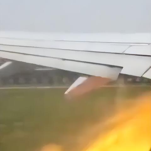 波音737客机遭鸟击 客舱玻璃开裂！现场画面公布