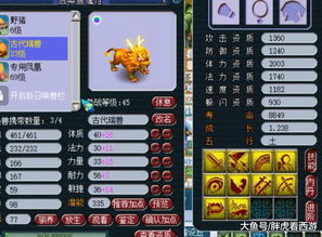 2026梦幻西游打书绝密指南，蓝书到红书全阶段避坑技巧，附实战胜率数据