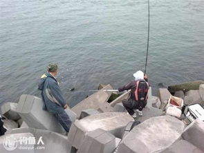 潜水员戴夫黑暗鲱鱼怎么钓？刷新点、钓法、隐藏用途全揭秘