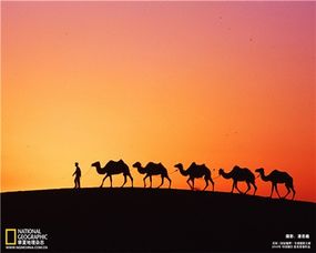 《红色沙漠》完整成就列表泄露：奖杯描述如诗歌！