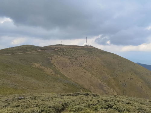 单位招人在海拔3614米山顶 网友：超适合“i人”