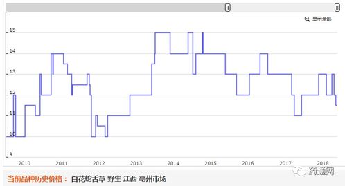2026年Overwatch Hentai的热门类型细分