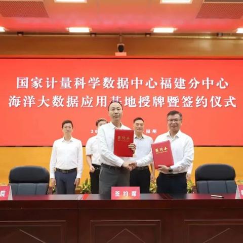 海洋骑士有哪几类？匹配2026热门需求的实战玩法深度指南