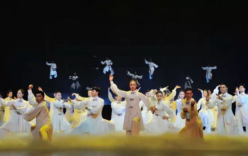 舞型舞秀类型全解析，从新手入门到赛事夺冠，匹配你的专属练舞需求